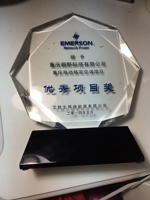 优秀项目奖